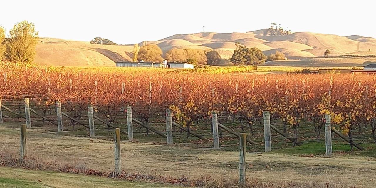 Bed and Breakfast Birds Eyes Te Awanga Exterior foto